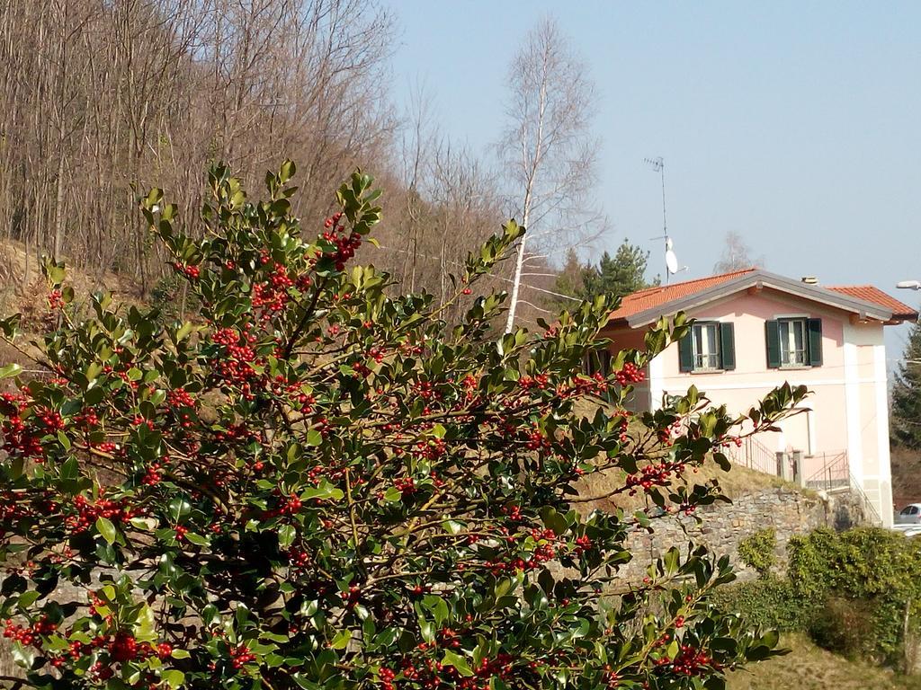 La Villa Morandi Marzio Luaran gambar